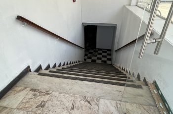 IMG_0499