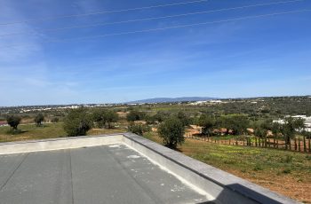 IMG_0945