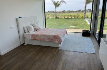 IMG_0951