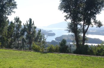 Vista Rio 42