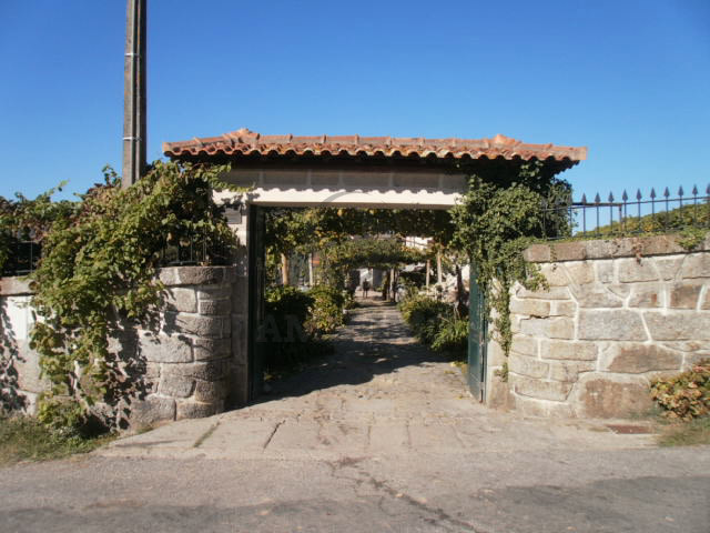QT Entrada 2