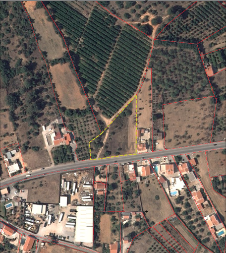 Captura de ecrã 2025-06-22, às 13.16.51