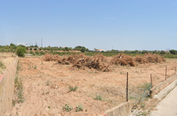 Captura de ecrã 2025-06-22, às 13.54.55