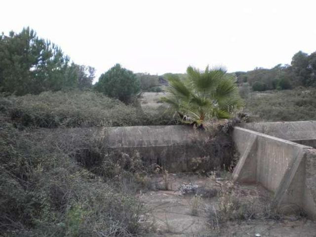 Unknown-4